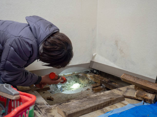 Best Biohazard Mold Removal  in Mount Gilead, NC