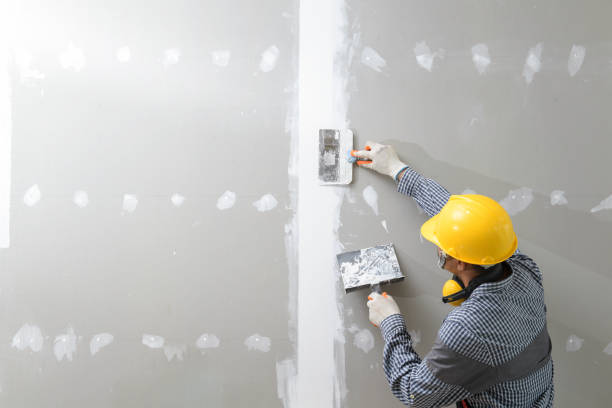 Best Mold Remediation for Healthcare Facilities  in Mount Gilead, NC