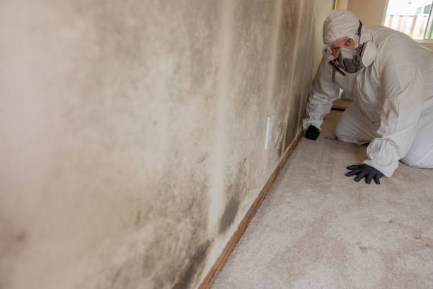 Best Crawl Space Mold Remediation  in Mount Gilead, NC