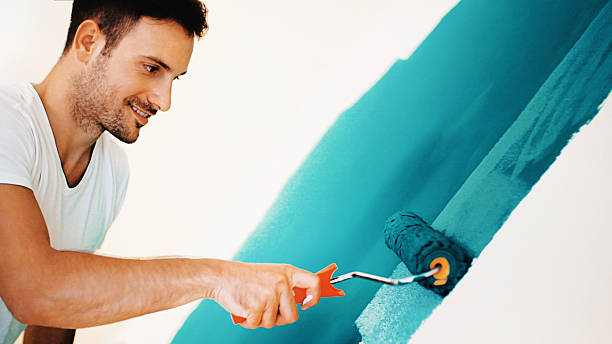 Best Mold Odor Removal Services  in Mount Gilead, NC